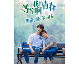 Wait, My Youth (2019) Chinese Drama - £52.74 GBP