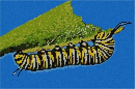 Pepita Needlepoint Canvas: Caterpillar, 10&quot; x 7&quot; - £39.84 GBP+