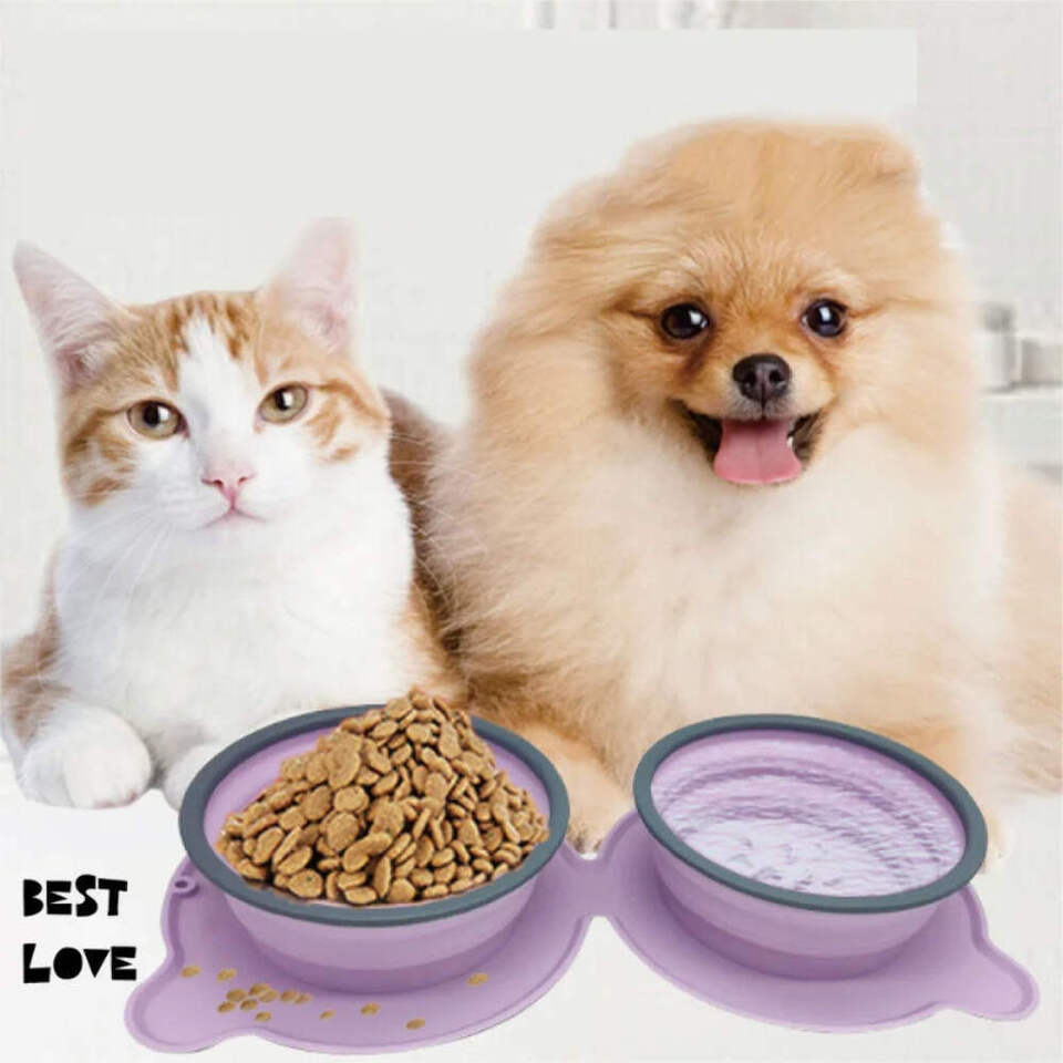 Foldable Silicone Double Food Bowls - $23.92