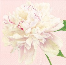 Caspari Duchess Peonies Paper Cocktail Napkins in Blush, Two Packs of 20 - $13.30+