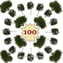 100 Fresh Real Princess Pine Picks Fall Winter Wedding Centerpiece Arrangements - £89.71 GBP