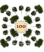 100 Fresh Real Princess Pine Picks Fall Winter Wedding Centerpiece Arrangements - $113.85