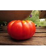 Marilyn's Best - reliable and flavorful red slicer - $100.89 MXN