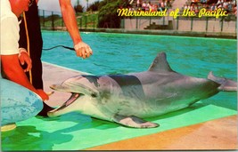 Vtg Chrome Postcard Marineland of the Pacific Flipper the Talking Dolphin UNP - £2.29 GBP