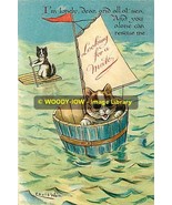 rp10239 - Louis Wain Cats - Looking For A Mate - print 6x4 - $52.81 MXN