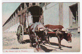 Ox Wagon Cart in Street Mexico 1910c postcard - £4.72 GBP