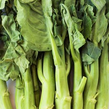 Chinese Broccoli Seeds Jade Gai Kai Lan Jie Rapini Rabe Kale Stem Greens Cabbage - £5.90 GBP