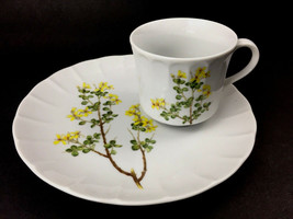 Toscany China 1970 Yorktown Japan Luncheon Plate Cup Yellow Flowers Moth... - $18.18