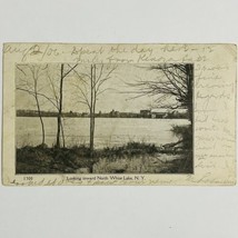 White Lake New York RPPC Postcard Vintage 1906 Postmark View from North - £7.44 GBP