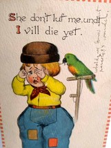 Dutch Boy With Parrot Barton &amp; Spooner Original Vintage Postcard Series C.S. 440 - £14.54 GBP