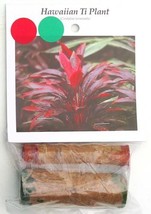 Hawaiian Ti Plant Log Cuttings 10 Red 10 Green (Pack of 10) Grow Hawaii - £143.78 GBP