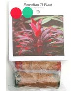 Hawaiian Ti Plant Log Cuttings 10 Red 10 Green (Pack of 10) Grow Hawaii - £142.54 GBP
