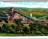 Rock Springs Park Swimming Pool Chester West Virginia WV UNP DB Postcard... - $9.85