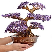 Large Amethyst (1,251 Gemstone Count) Chakra Crystal Tree with Healing P... - $467.99