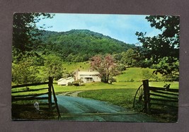 Vintage Postcard 1985 Graves Mountain Lodge Syria VA Virginia 1980s - $4.99