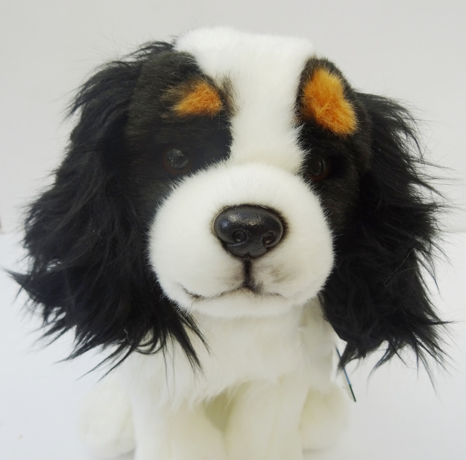 Primary image for King Charles Cavalier Tri Color gift wrapped or not, with engraved tag or not