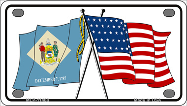 Delaware Crossed US Flag Novelty Mini Metal License Plate Tag - $14.95