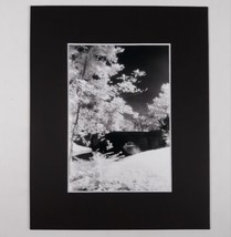 Black Mat Photo Landscape Park Infrared Photography Bridge Trees Art Print - £18.42 GBP