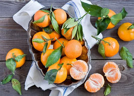 Tangerine Orange Seeds for Garden Planting 5+ Seeds - £11.05 GBP