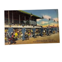 Vintage Postcard Greyhound Racing Florida Parade Before Fans Standard u - $10.99