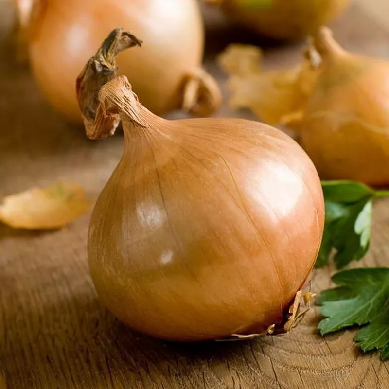 1000 Onion Seeds Texas Early Grano Always Seeds Garden - £7.32 GBP