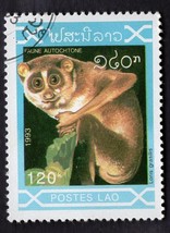 Laosian Wildlife - Loris - $4.09 CAD