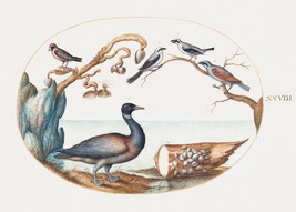14215.Decor Poster.Room wall art design.Renaissance nature drawing.Birds - £12.71 GBP+
