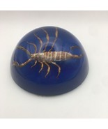Golden Scorpion Specimen Paper Weight Decor Royal Blue Sealed Attack Mod... - £15.57 GBP