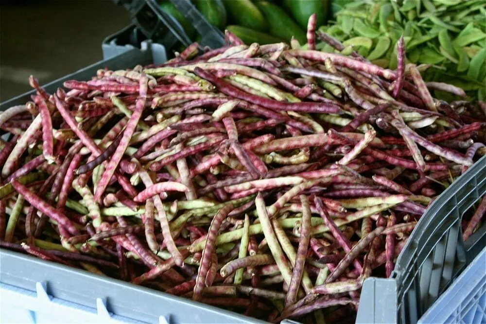 OLD FASHION PURPLE HULL PEAS 150 SEEDS 1oz 2024 - $9.99