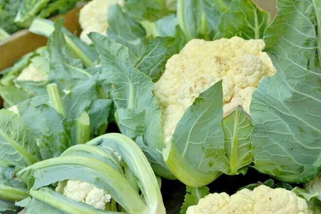 400 SNOWBALL CAUILFLOWER Seeds Organic Heirloom Vegetable - $4.91 CAD