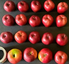 Red Apples Lot Of 19 Prop Replica Faux Fake Fruits - £20.00 GBP