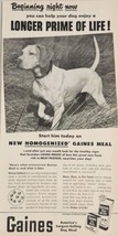 1954 Print Ad Gaines Meal Dog Food Hunting Dog Pointing in Field - £14.46 GBP