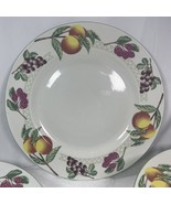 Set Of 10 Stoneware Garden Trellis Collection 10 3/4&quot; Dinner Plates. - $73.87 CAD