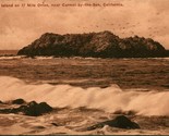 Vintage 1924 Albertype Postcard - Bird Island on 17 Mile Drive near Carm... - $4.90