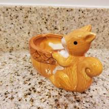 Squirrel Planter with Succulent, Ceramic Animal Plant Pot with live plant image 3