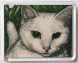 Cat Art Acrylic Large Magnet - Timmy - £6.39 GBP