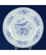 Rare James Edwards Antique American Birds 9.75&quot; Dinner Plate 1880s Pale ... - $30.00