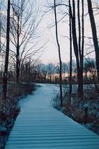 &quot;A Frosted Path&quot; - Color Film Print - Winter Landscape Photography - £23.69 GBP