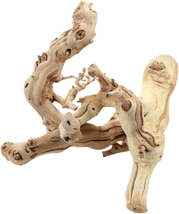 Grapewood Branch, 12-Inch - $50.48