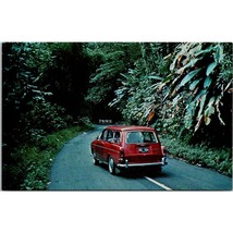 Vintage Chrome Puerto Rico Postcard, Lush Tropical El Yunque Rain Forest... - £9.90 GBP