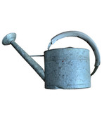 Vintage Large Galvanized Heavy Duty Oval Watering Can w/Long Spout 1-3/4... - $99.99