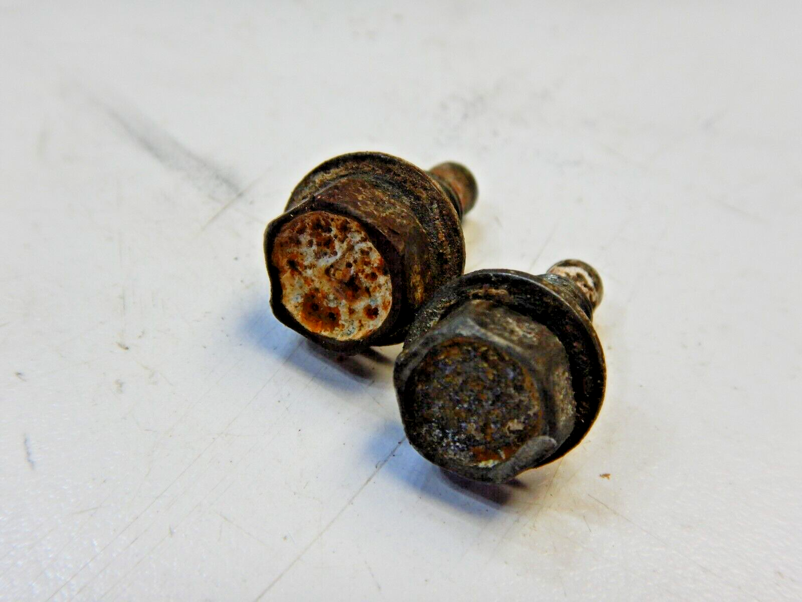 Stator mount bolts 1987 87 Yamaha YZ250 YZ 250 - $24.74