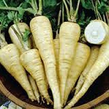 Parsnip, All American Parsnip Seeds, Heirloom, Organic, Non GMO, 25+ Seeds, Pars - £1.59 GBP