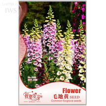 New Fresh Common Foxgloves Seeds Liberty Bell Seeds Pack 60 Seeds Attractive Sha - £8.20 GBP