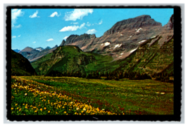 Wildflowers and Granite at Logan Pass in Montana Glacier National Park Postcard - £3.67 GBP