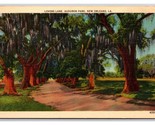 Lovers Lane Audobon Park New Orleans LA Louisiana UNP Linen Postcard N24 - $2.92