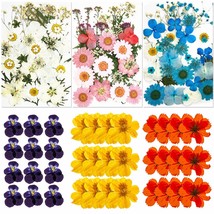 135 Pcs Natural Dried Pressed Flowers Leaves Set Real Dried Flowers For ... - £23.52 GBP