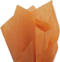 EGP Solid Tissue Paper, Burnt Orange, 20&quot; x 30&quot;, 480 Sheets - £46.45 GBP+