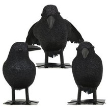 (3 Pc) Glittery Feathered Foam Crows - £10.11 GBP