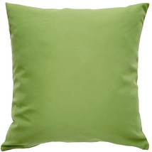 Sunbrella Ginko Green Outdoor Pillow 20x20 - £46.43 GBP